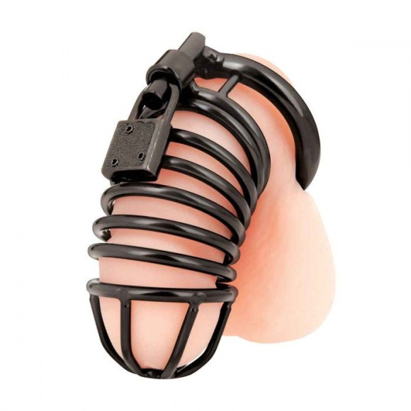 Черная металлическая клетка с замком Deluxe Chastity Cage Черная металлическая клетка с замком Deluxe Chastity Cage