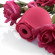 Красный вакуумный стимулятор Rose Красный вакуумный стимулятор Rose