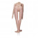 Реалистичная секс-кукла Vivid Raw Super Model Love Doll Реалистичная секс-кукла Vivid Raw Super Model Love Doll