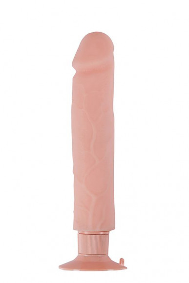 Большой телесный вибратор на присоске REALSTUFF 9INCH VIBRATOR - 23 см. Большой телесный вибратор на присоске REALSTUFF 9INCH VIBRATOR - 23 см.