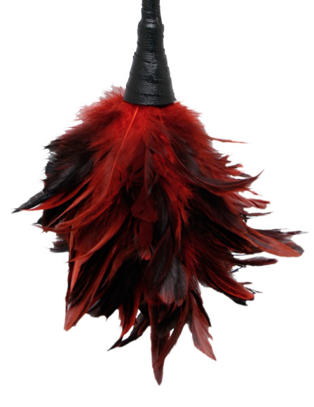 Кисточка с красно-чёрными пёрышками Frisky Feather Duster - 36 см. Кисточка с красно-чёрными пёрышками Frisky Feather Duster - 36 см.
