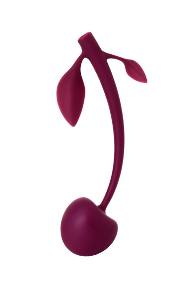 Бордовая вагинальная вишенка WILD CHERRY - 14,5 см. Бордовая вагинальная вишенка WILD CHERRY - 14,5 см.