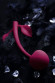 Бордовая вагинальная вишенка WILD CHERRY - 14,5 см. Бордовая вагинальная вишенка WILD CHERRY - 14,5 см.