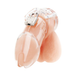 Прозрачная клетка целомудрия Acrylic See-thru Chastity Cage Прозрачная клетка целомудрия Acrylic See-thru Chastity Cage