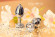 Малая серебристая анальная пробка Diamond Clear Sparkle Small с прозрачным кристаллом - 7 см. Малая серебристая анальная пробка Diamond Clear Sparkle Small с прозрачным кристаллом - 7 см.