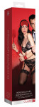Красный игровой набор Introductory Bondage Kit №2 Красный игровой набор Introductory Bondage Kit №2