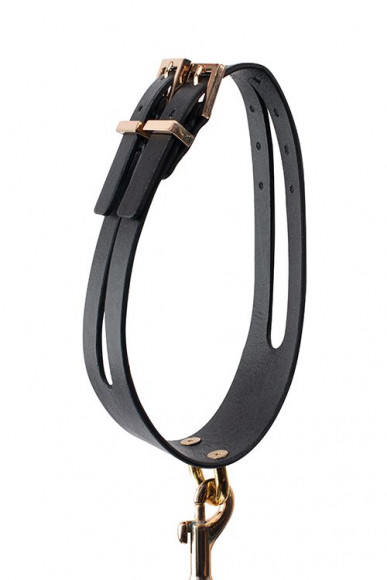 Черный ошейник PREMIUM COLLAR LEASH SET с золотистым поводком Черный ошейник PREMIUM COLLAR LEASH SET с золотистым поводком
