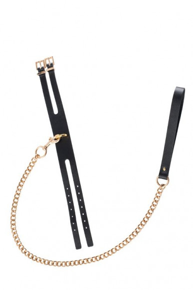 Черный ошейник PREMIUM COLLAR LEASH SET с золотистым поводком Черный ошейник PREMIUM COLLAR LEASH SET с золотистым поводком