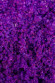Соль Мёртвого моря для ванны Oriental Crystals «Экзотические фрукты» - 500 гр. Соль Мёртвого моря для ванны Oriental Crystals «Экзотические фрукты» - 500 гр.