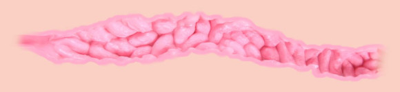 Мастурбатор-полуторс Valentina с двойным слоем материала Мастурбатор-полуторс Valentina с двойным слоем материала