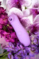 Сиреневый вакуум-волновой стимулятор клитора Lilac Сиреневый вакуум-волновой стимулятор клитора Lilac